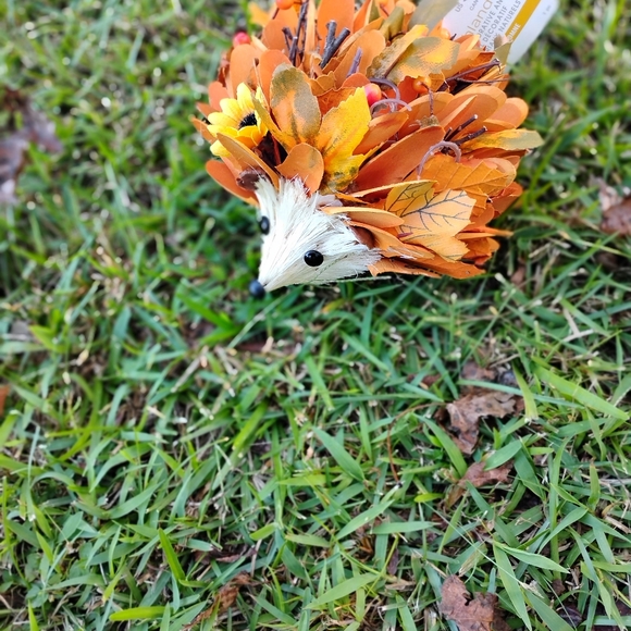 Orange and Cream Hedgehog Decor - Picture 1 of 1
